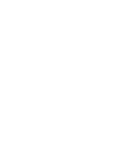 Logo Shinsoftware