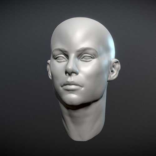 Sculpt 3d di un volto
